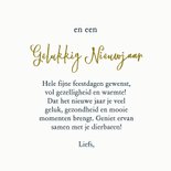 Kerstkaart samen op de schaatsen 3
