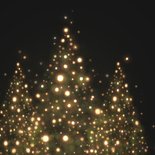Kerstkaart silhouet kerstbomen met gouden lampjes 2