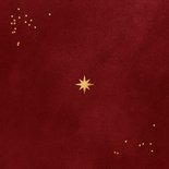 Kerstkaart sterren fotokaders sprankelend rood fijne kerst Achterkant