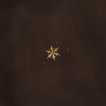 Kerstkaart stijlvol 2026 bruin met sneeuwvlokjes goud Achterkant