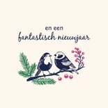 Kerstkaart twee wintervogels met kerstgroen in kleur 2