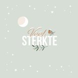 Kerstkaart 'Veel sterkte' roodborstje in de sneeuw 2