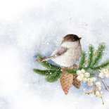 Kerstkaart vogels in de winter 2