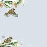 Kerstkaart vogels op takjes winter 2