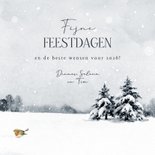 Kerstkaart vrolijk kerstfeest schotse hooglander roodborstje 3