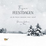 Kerstkaart vrolijk kerstfeest schotse hooglander roodborstje 3