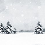 Kerstkaart vrolijk kerstfeest schotse hooglander roodborstje Achterkant