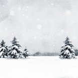 Kerstkaart winter vosjes landschap kerstlampjes  Achterkant