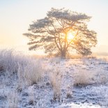 Kerstkaart winters landschap 2
