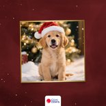 Kerstkaartje rood liefdevol nieuwjaar cliniclowns  2