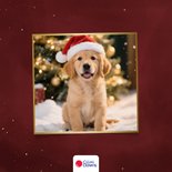Kerstkaartje rood liefdevol nieuwjaar cliniclowns  2