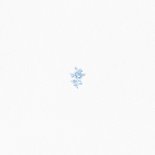 Klassiek getuige kaartje met vintage roosjes lichtblauw Achterkant