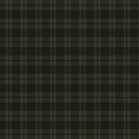 Klassieke kerstkaart ruitjespatroon groen met foto 2