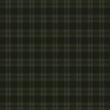 Klassieke kerstkaart ruitjespatroon groen met foto Achterkant