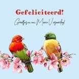 Klassieke verjaardagskaart met kleurrijke vogels met bloesem 3