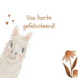 Kleurrijke felicitatiekaart lama en donkere textuur 2