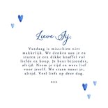 Kleurrijke sterkte kaart bos bloemen vaas Delfts blauw hart 3