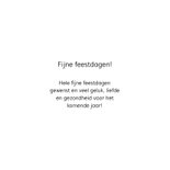 KNGF kerstkaart all I want 3