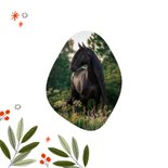 Leuke kerstkaart merrie christmas met paard en bladeren 2