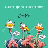 Leuke verjaardagskaart met 4 verdraaid leuke struisvogels 3