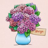 Leuke vriendschapskaart met hortensia, geplukt voor vriendin 3