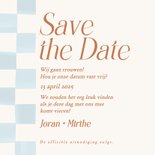 Lichtblauw geblokte save the date kaart bruiloft koper Achterkant