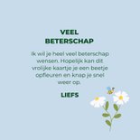 Lief beterschapskaartje blauw bijtjes en bloemen 3