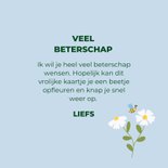 Lief beterschapskaartje blauw bijtjes en bloemen 3