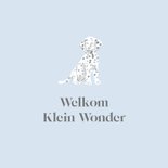 Lief blauw geboortekaartje met dalmatiër puppy 2