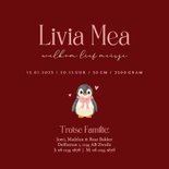 Lief donker rood geboortekaartje met baby pinguin Achterkant