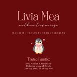 Lief donker rood geboortekaartje met baby pinguin Achterkant