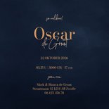  Lief donkerblauw winters geboortekaartje met hertje 3