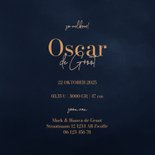  Lief donkerblauw winters geboortekaartje met hertje 3