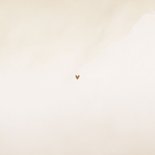 Lief en naturel geboortekaartje beige waterverf hartje Achterkant