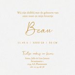 Lief geboortekaartje broer kust zusje/broertje goudfolie  3