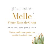 Lief geboortekaartje illustratie gans riet libelle 3