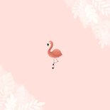 Lief geboortekaartje met flamingo, jungle en waterverf Achterkant