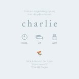 Lief geboortekaartje met laarsjes bloemetjes en bijtjes 3