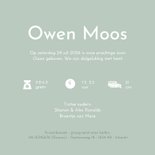 Lief geboortekaartje met ooievaar en baby jongen  3