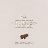 Lief geboortekaartje met tekening van beren in bruintinten 2