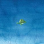 Lief geboortekaartje met zeedieren Achterkant