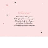 Lief geboortekaartje olifantjes meisje zusje hartjes roze 2