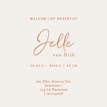 Lief geboortekaartje twee broers met baby – koperfolie 3