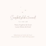 Lief geboortekaartje tweeling illustratie vosje en konijntje 2