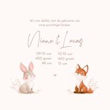 Lief geboortekaartje tweeling illustratie vosje en konijntje 3