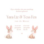 Lief geboortekaartje tweeling pastel illustratie konijntjes 3