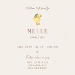 Lief geboortekaartje voor een broertje ganzen in het gras 3