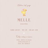 Lief geboortekaartje voor een zusje ganzen in het gras 3