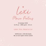 Lief geboortekaartje vosje zusje vlaggetjes dieren verf 3