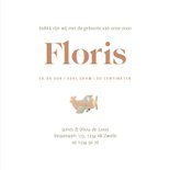 Lief geboortekaartje wit met illustratie vliegtuigje  3